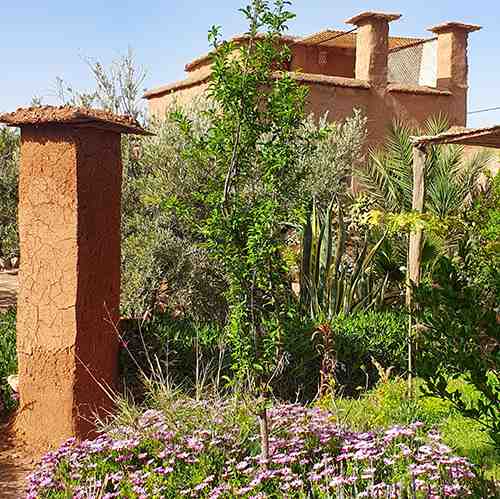 Chambre avec terrasse au Jardin de Yuda