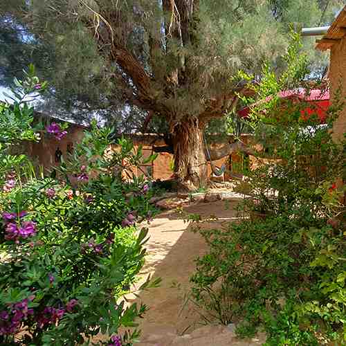 Le printemps au Jardin de Yuda